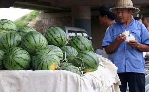 吴川网红吃瓜事件,网络舆论的风暴与反思 第3张 吴川网红吃瓜事件,网络舆论的风暴与反思 第3张